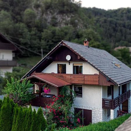 ホテル Alp House ゴレンスカ地方 エクステリア 写真