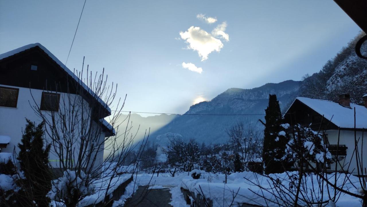 ホテル Alp House ゴレンスカ地方 エクステリア 写真
