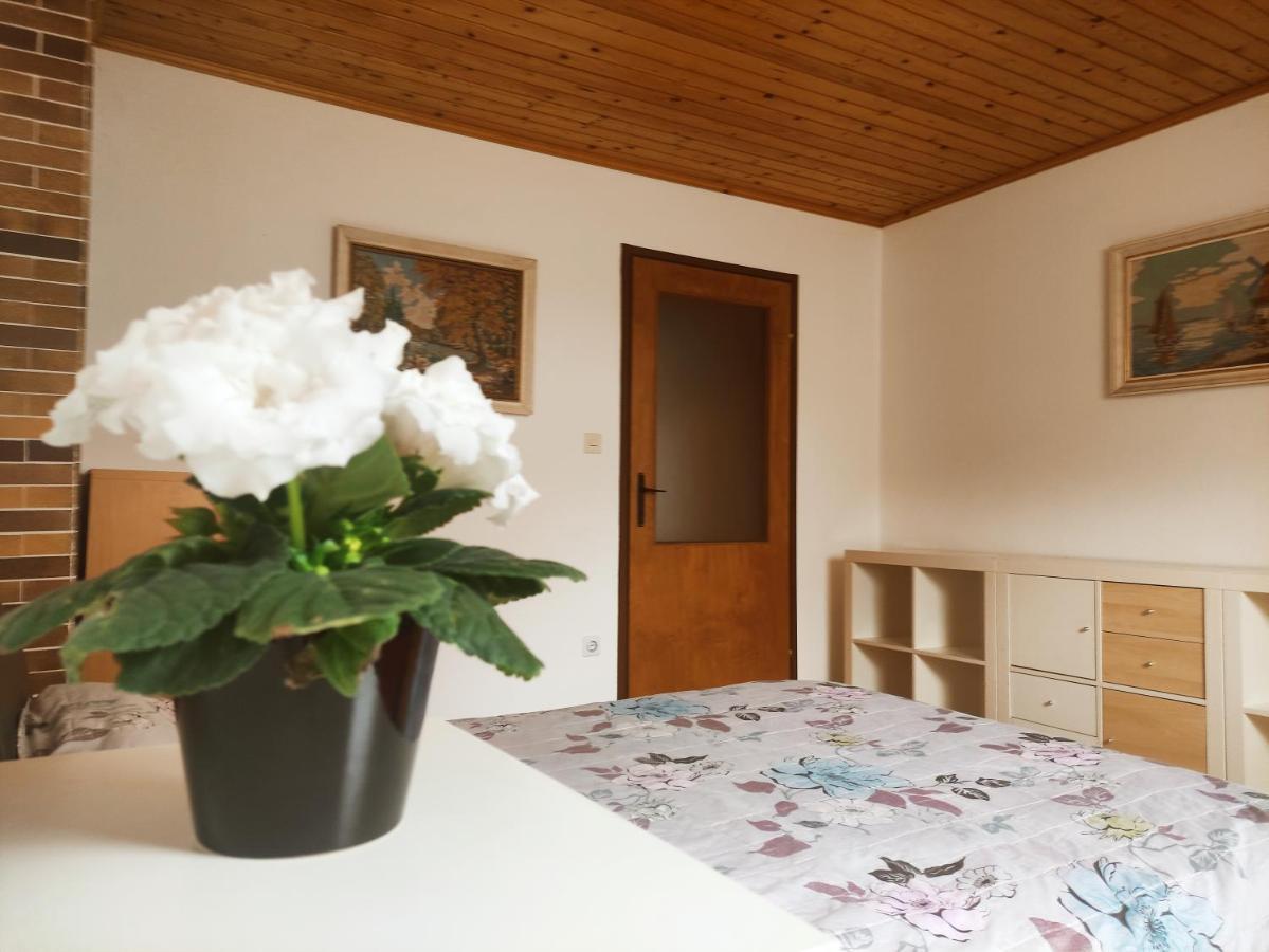 ホテル Alp House ゴレンスカ地方 エクステリア 写真
