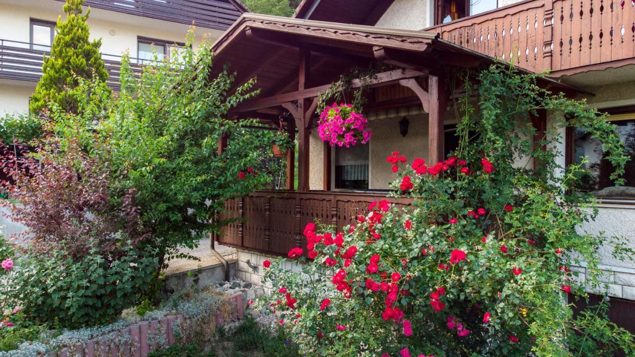 ホテル Alp House ゴレンスカ地方 エクステリア 写真