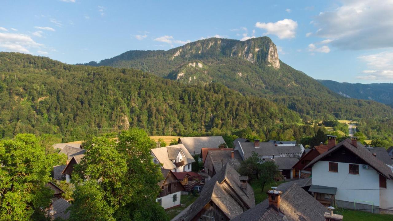 ホテル Alp House ゴレンスカ地方 エクステリア 写真